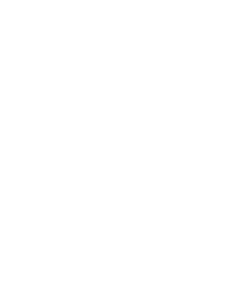 eleve logo branca